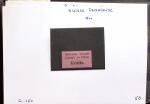 1850-1945 Mint and used selection on cards from Rayon
