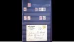 1880-1970 Collection de timbres neufs des colonies