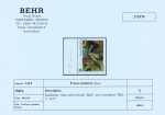 N°3585a 1,11€ Kandisky, variété valeur faciale omise,