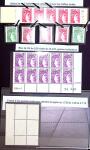 Lot variétés de SABINE dont variétés chiffres évidés,