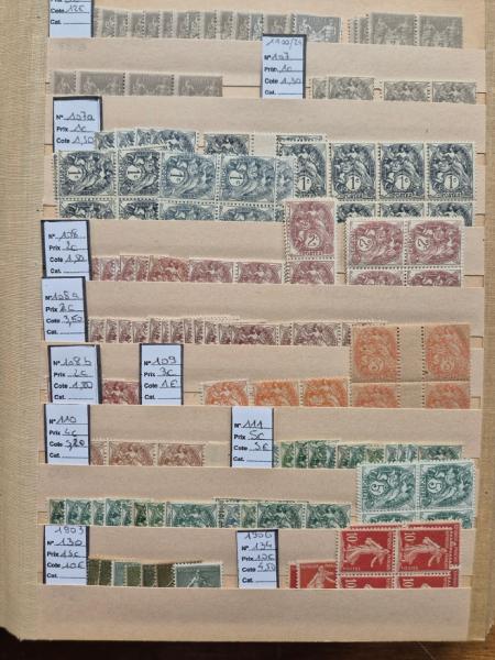 1900-2005, Collection de France en 9 classeurs, neufs