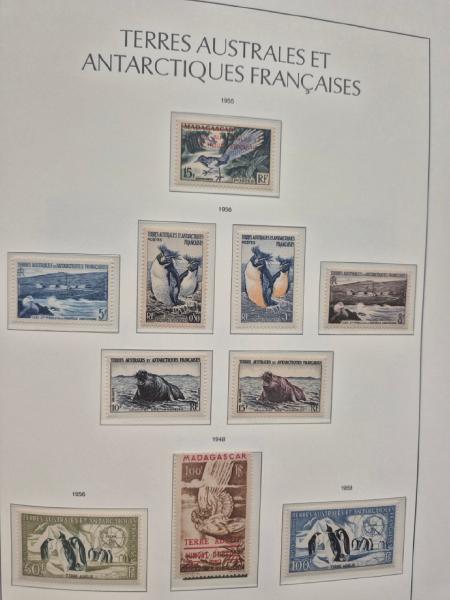 1935-2025, Collection de COLONIES en neuf en 15 albums,