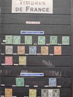 1849-2007, Solide ensemble en 5 classeurs : un classeur