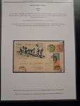 1905-20, Collection sur 56 pages d'exposition retraçant