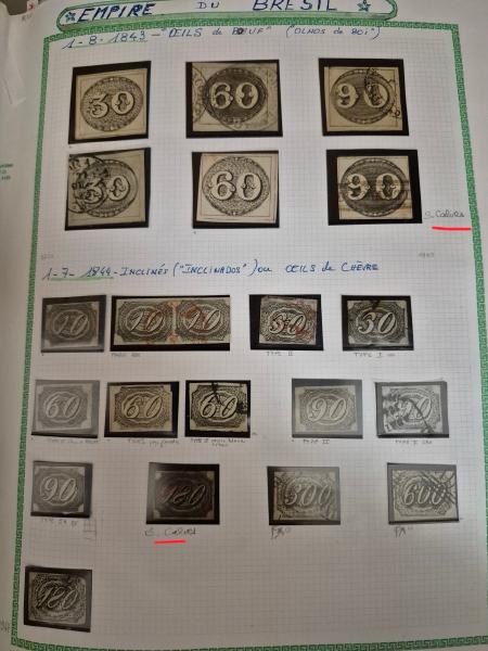 1843-2016 Extensive collection of BRAZIL in 31 albums