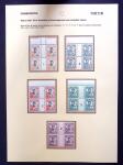 N°96/116 Type Annamite et Cambodgien, série MILLESIMEE